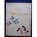 画像1: 平紙特製大型本・パリ万博金メダル受賞「日本の芝居ー寺子屋」（仏文）　Scene du theatre japonais-Terakaya奉書紙特製本「日本の芝居ー寺子屋」（仏文）　カール・フローレンツ　 (1)