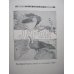 画像3: レガメ（Felix Regamey)挿絵・著「Japon（日本素描紀行）」（仏）1903　パリ (3)