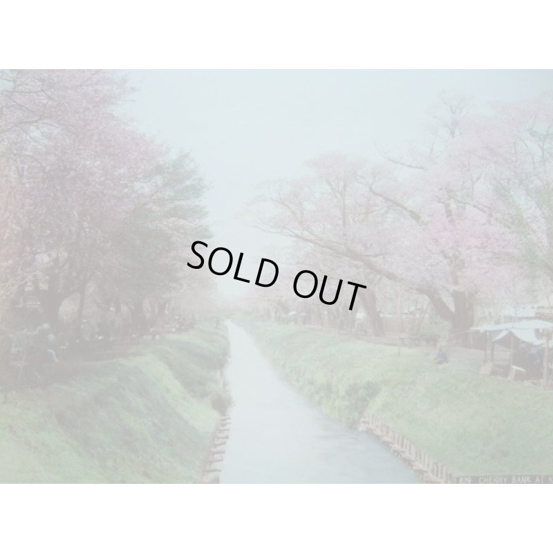 画像1: 明治手彩色古写真　2枚表裏　日下部金兵衛　小金井の桜＆日光雷神　20×26cm　