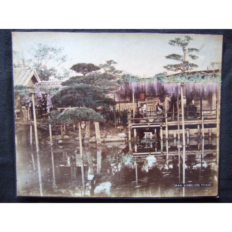 画像2: 明治期 手彩色  古写真　小川一真「亀戸の藤」　21,5×27,5cm　