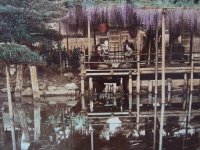 明治期 手彩色  古写真　小川一真「亀戸の藤」　21,5×27,5cm　