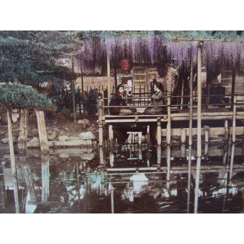 画像1: 明治期 手彩色  古写真　小川一真「亀戸の藤」　21,5×27,5cm　