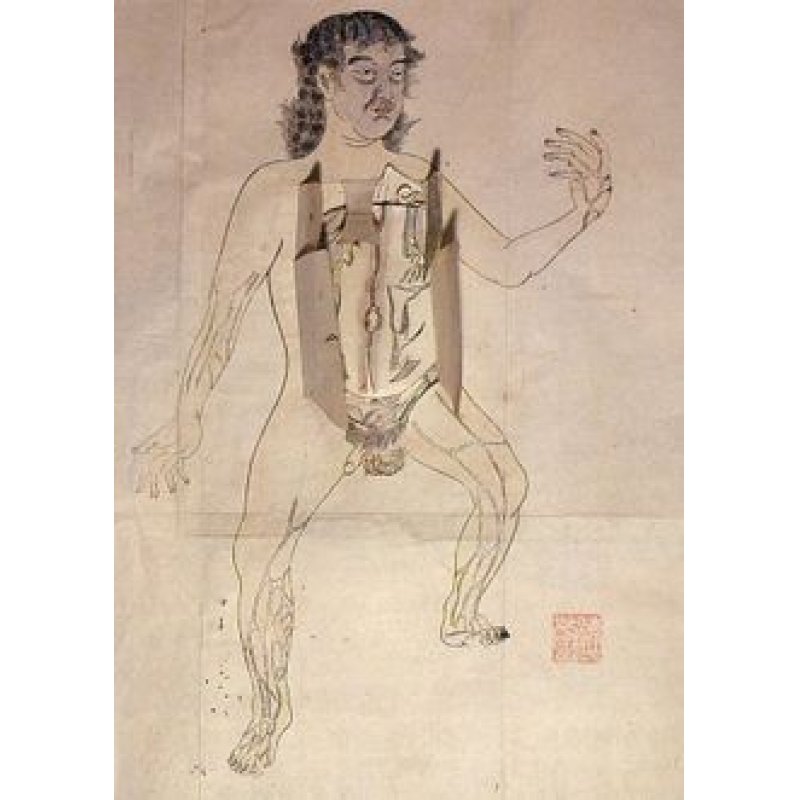 画像4: レメリン解剖図（英）　解体新書より早い日本最初の解剖書の原本 42×31cm 11頁　銅版図４枚　