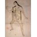 画像2: レメリン解剖図（英）　解体新書より早い日本最初の解剖書の原本 42×31cm 11頁　銅版図４枚　 (2)