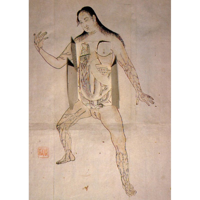 画像2: レメリン解剖図（英）　解体新書より早い日本最初の解剖書の原本 42×31cm 11頁　銅版図４枚　