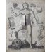 画像1: レメリン解剖図（英）　解体新書より早い日本最初の解剖書の原本 42×31cm 11頁　銅版図４枚　 (1)