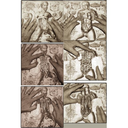 他の写真1: レメリン解剖図（英）　解体新書より早い日本最初の解剖書の原本 42×31cm 11頁　銅版図４枚　