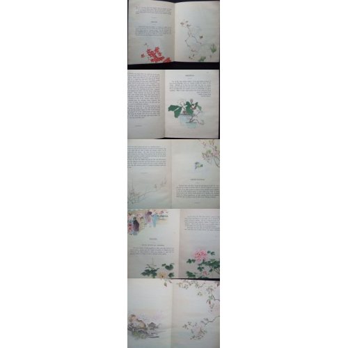 他の写真3: 奉書紙本「日本の愛好花」　　(英）The Favorite Flowers of Japan 著者　アンガー夫人　Mary E.Unger　