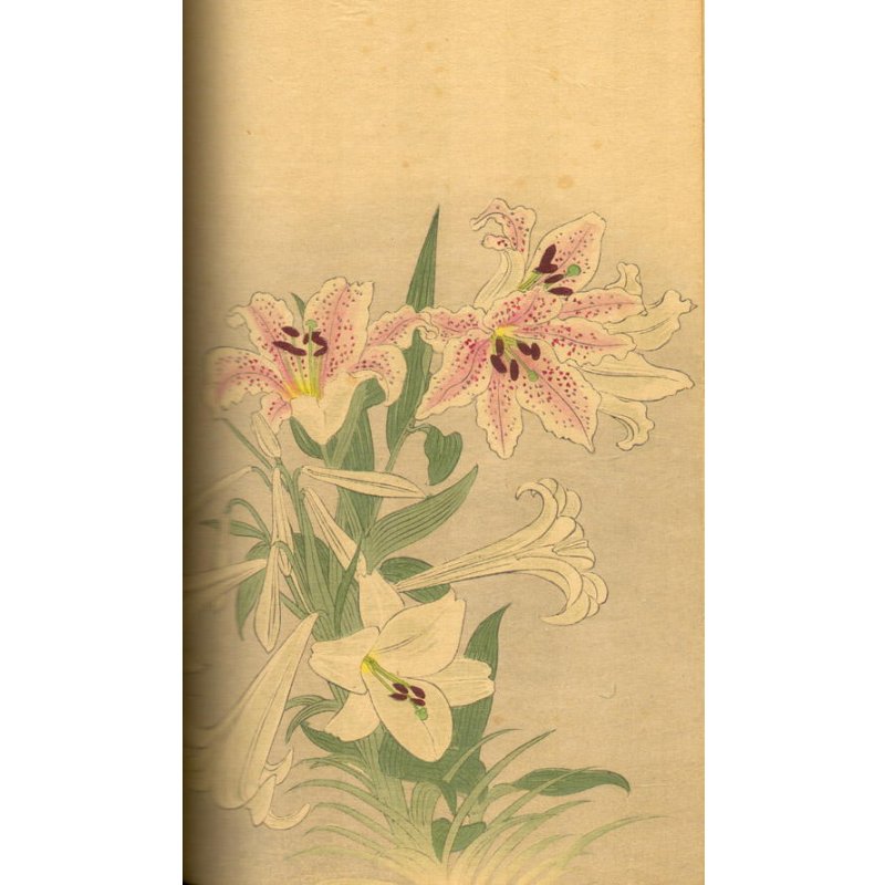 画像8: 希少品 ちりめん・平紙両用本「日本の歳月(Japan's Year)」 ジュリア・カロザーズ(Julia.D.Carrothers))