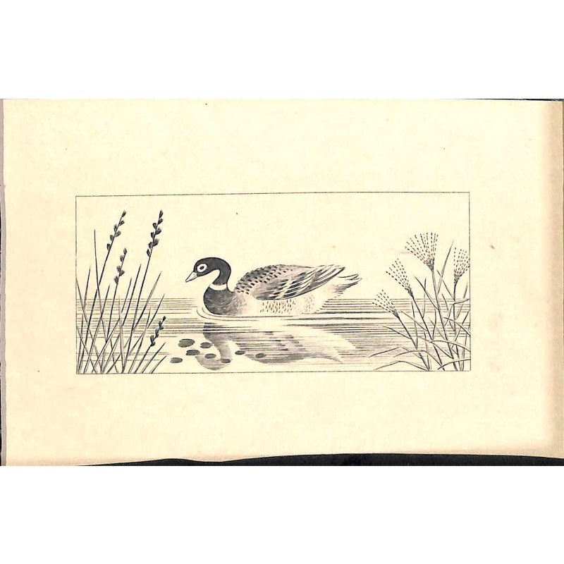 画像14: 稀覯本　長谷川潔・挿絵銅版画（仏）竹取物語（La legende de la demoiselle de lumiere)] 限定150部のNo.7