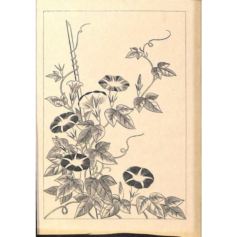 画像17: 稀覯本　長谷川潔・挿絵銅版画（仏）竹取物語（La legende de la demoiselle de lumiere)] 限定150部のNo.7