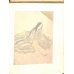 画像5: 藤田嗣治・彩色挿絵１２点　P・クローデル「朝日の中の黒鳥（L'oiseau noir dans le soleil levant)」)（ 仏）限定511部の370番