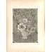 画像5: 長谷川潔 版画（アクアタント）　「切子グラスに挿したアネモネと草花」　用紙i38×28　版画25×18cm