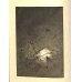画像7: 明治写実画　「蛍」銅版画　山本芳翠　22×16　1886　パリ