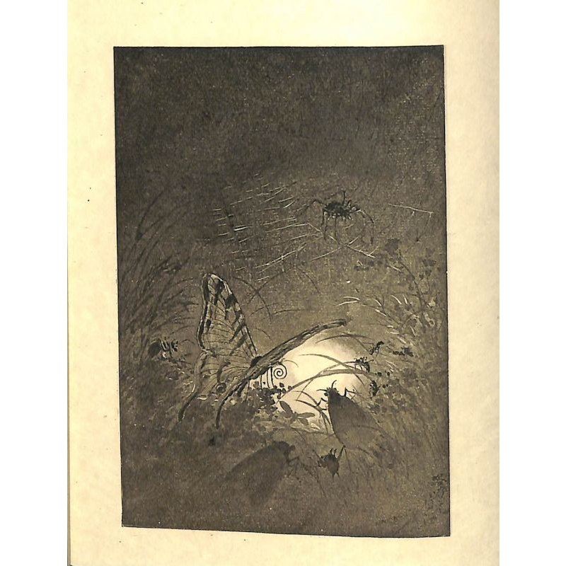 画像7: 明治写実画 「蛍」銅版画 山本芳翠 22×16 1886 パリ