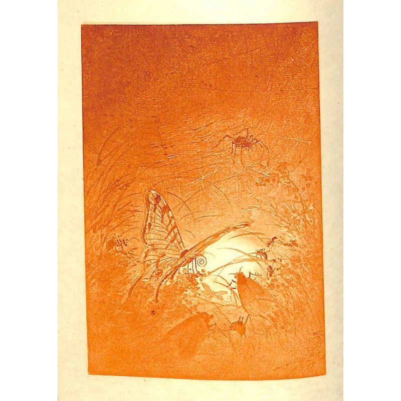 画像8: 明治写実画 「蛍」銅版画 山本芳翠 22×16 1886 パリ