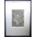 画像4: 長谷川潔 版画（アクアタント）　「切子グラスに挿したアネモネと草花」　用紙i38×28　版画25×18cm