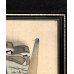 画像10: 　明治写実画・小型11点セット　額入り　30×12cm、 32×14ｃｍ