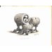 画像12: 稀覯書　（英）　「日本の音楽と楽器（The Music and Musical Instrument of Japan)」　F.T.ピゴット(Piggott)　 1893 　ロンドン」