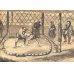 画像5: 米国絵入り新聞・日本紹介記事入り　Ballou's Pictorial 7部（1853~57）　