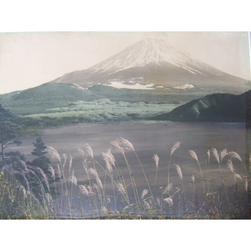 画像5: 巨大・手彩色古写真 「富士と薄」 44×62cm 撮影 ポンティング(H.G.Ponting)