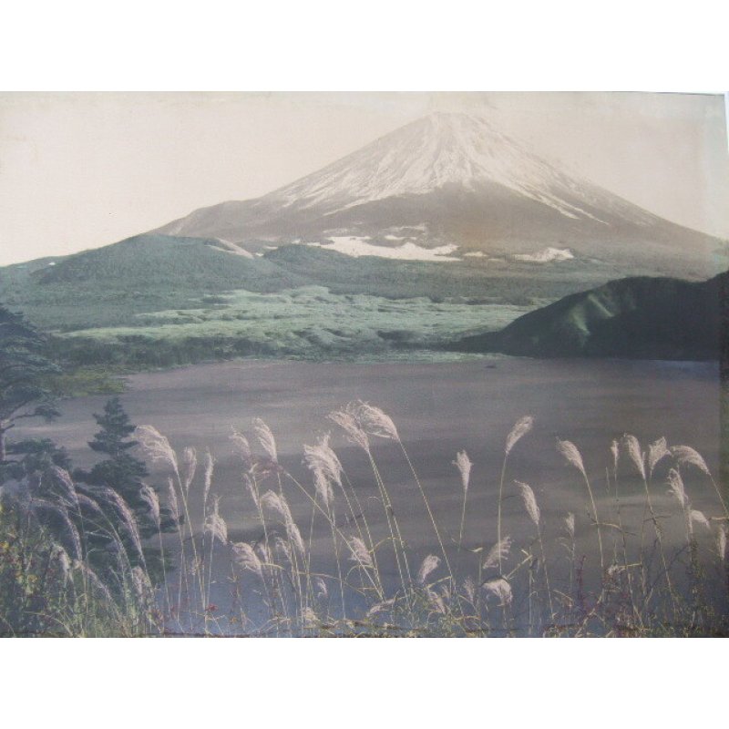 画像4: 巨大・手彩色古写真 「富士と薄」 44×62cm 撮影 ポンティング(H.G.Ponting)