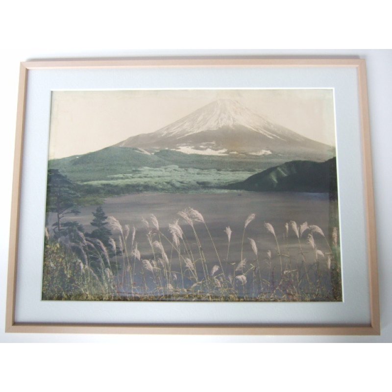 画像6: 巨大・手彩色古写真 「富士と薄」 44×62cm 撮影 ポンティング(H.G.Ponting)