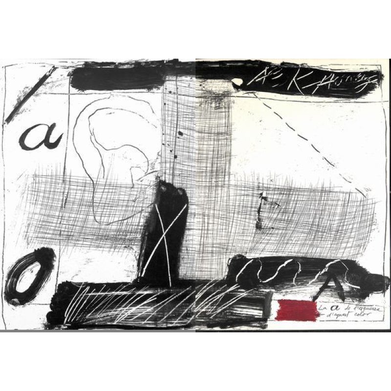画像5: 稀覯品 滝口修造 アントニ・タピエス(Antoni.Tapies) 詩画集「物質のまなざし(Llambrec Material)」 フォリオ 50シート 限定No.335