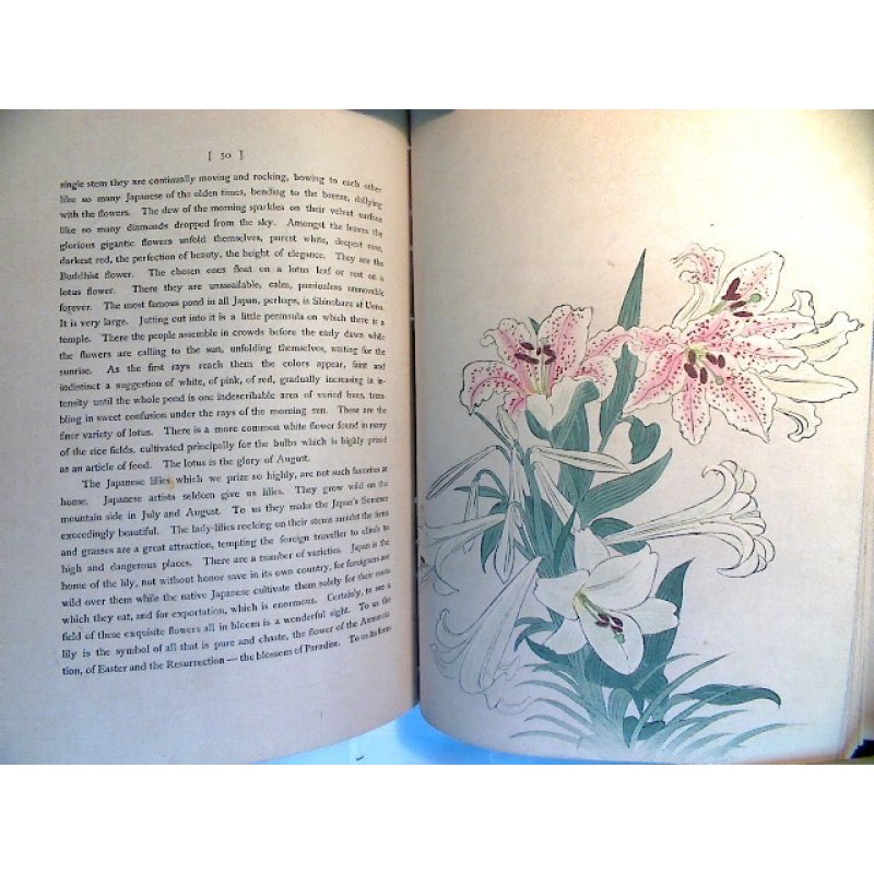 画像13: 極美品 ちりめん・平紙両用本「日本の歳月(Japan's Year)」 著者J.D.カロザーズ Julia.D.Carrothers