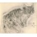 画像3: 藤田嗣治　エッチング（銅版画）　猫（ソミレス）　1929年「A Book of Cats」より。　用紙（Ａｒｃｈｅｓ　ｐａｐｅｒ）32.4×24.9cm　銅版26×20cm　