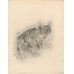 画像1: 藤田嗣治　エッチング（銅版画）　猫（ソミレス）　1929年「A Book of Cats」より。　用紙（Ａｒｃｈｅｓ　ｐａｐｅｒ）32.4×24.9cm　銅版26×20cm　 (1)