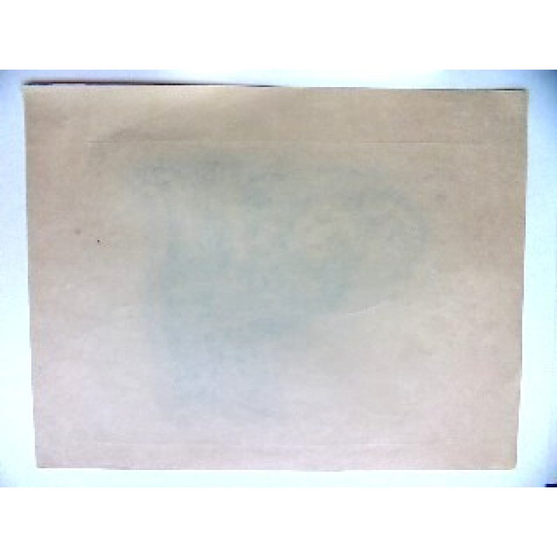 画像8: 藤田嗣治 エッチング(銅版画) 猫(アラシェル) 1929年 「A Book of Cats」より。1929年 用紙(Japanese vellum)32.4×25.1cm 銅版26×20cm