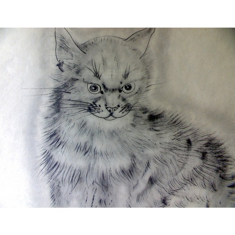 画像4: 藤田嗣治 エッチング(銅版画) 猫(アラシェル) 1929年 「A Book of Cats」より。1929年 用紙(Japanese vellum)32.4×25.1cm 銅版26×20cm