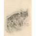 画像2: 藤田嗣治　エッチング（銅版画）　猫（ソミレス）　1929年「A Book of Cats」より。　用紙（Ａｒｃｈｅｓ　ｐａｐｅｒ）32.4×24.9cm　銅版26×20cm　 (2)