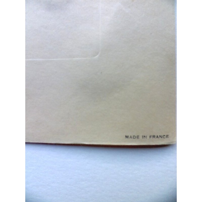 画像6: 藤田嗣治 エッチング(銅版画) 猫(アラシェル) 1929年 「A Book of Cats」より。1929年 用紙(Japanese vellum)32.4×25.1cm 銅版26×20cm