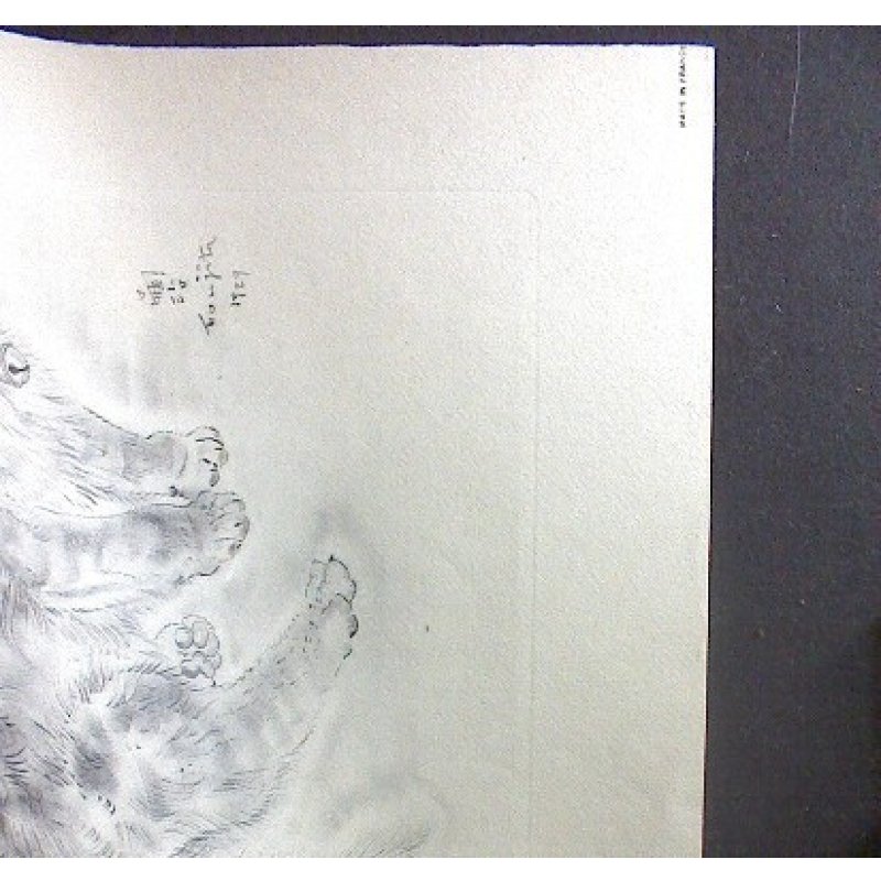 画像6: 藤田嗣治 エッチング(銅版画) 猫(ソミレス) 1929年「A Book of Cats」より。 用紙(Arches paper)32.4×24.9cm 銅版26×20cm