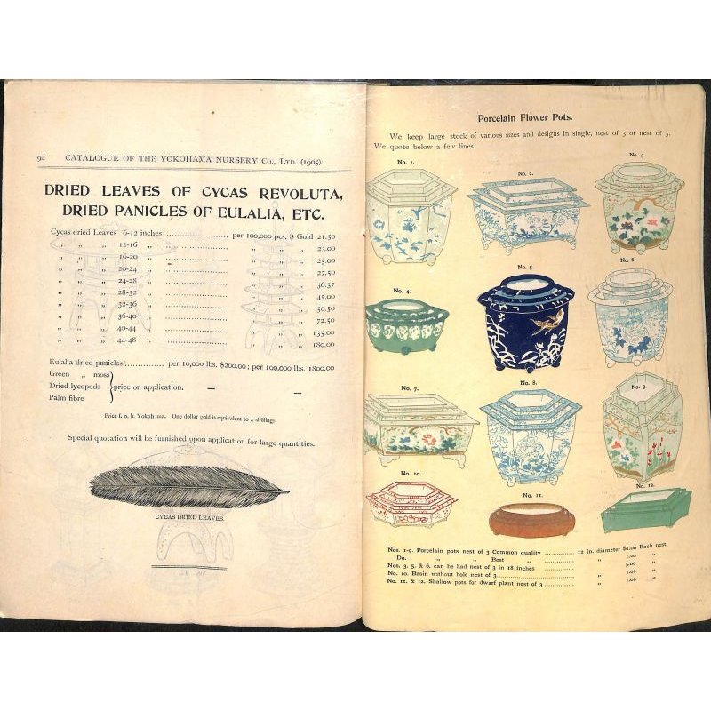 画像11: 平紙本 (英)横浜種苗会社(Yokohama Nursery Co.)1905年カタログ 25×18 95頁