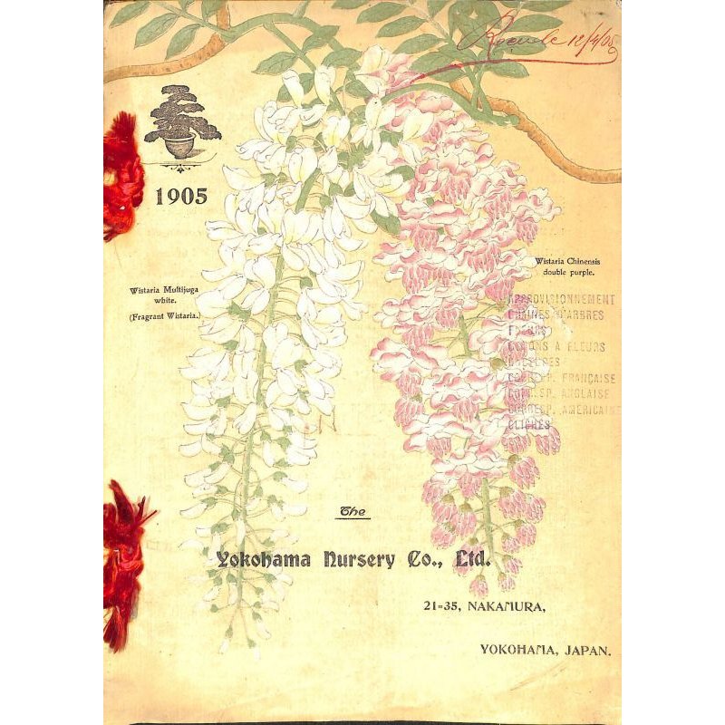 画像1: 平紙本　(英）横浜種苗会社(Yokohama Nursery Co.)1905年カタログ　25×18　95頁