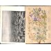 画像3: 平紙本　(英）横浜種苗会社(Yokohama Nursery Co.)1905年カタログ　25×18　95頁