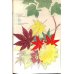 画像9: 平紙本　(英）横浜種苗会社(Yokohama Nursery Co.)1905年カタログ　25×18　95頁