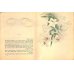 画像8: 奉書紙本「日本の愛好花」　　(英）The Favorite Flowers of Japan 著者　アンガー夫人　Mary E.Unger　