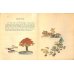 画像7: 奉書紙本「日本の愛好花」　　(英）The Favorite Flowers of Japan 著者　アンガー夫人　Mary E.Unger　
