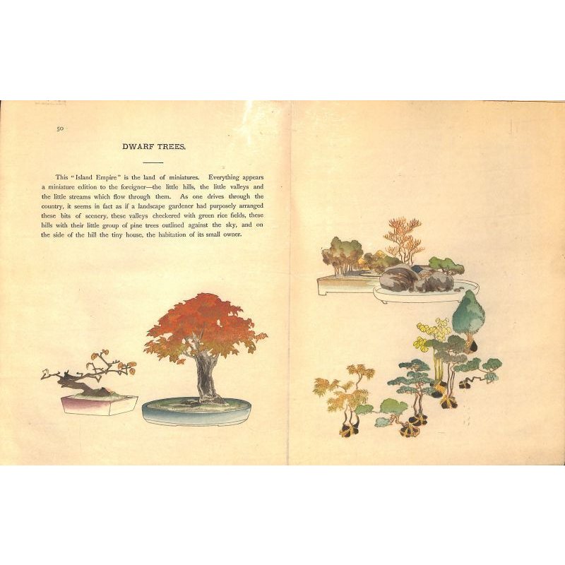 画像7: 奉書紙本「日本の愛好花」  (英)The Favorite Flowers of Japan 著者 アンガー夫人 Mary E.Unger