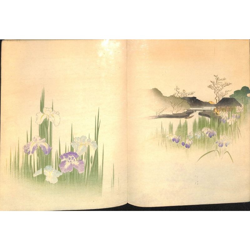 画像4: 奉書紙本「日本の愛好花」  (英)The Favorite Flowers of Japan 著者 アンガー夫人 Mary E.Unger