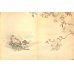 画像5: 奉書紙本「日本の愛好花」　　(英）The Favorite Flowers of Japan 著者　アンガー夫人　Mary E.Unger　