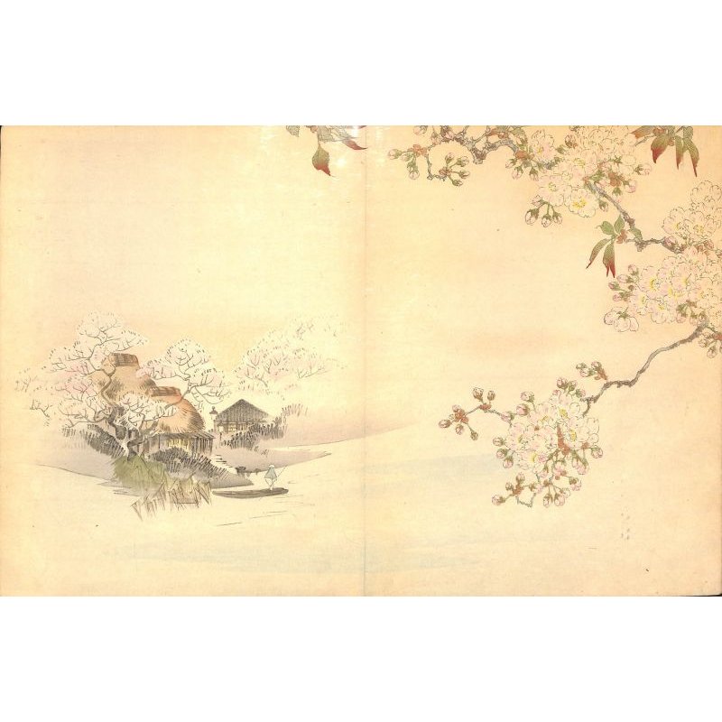画像5: 奉書紙本「日本の愛好花」  (英)The Favorite Flowers of Japan 著者 アンガー夫人 Mary E.Unger