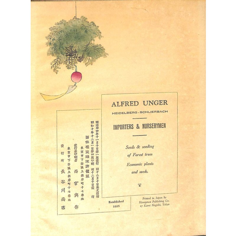 画像10: 奉書紙本「日本の愛好花」  (英)The Favorite Flowers of Japan 著者 アンガー夫人 Mary E.Unger