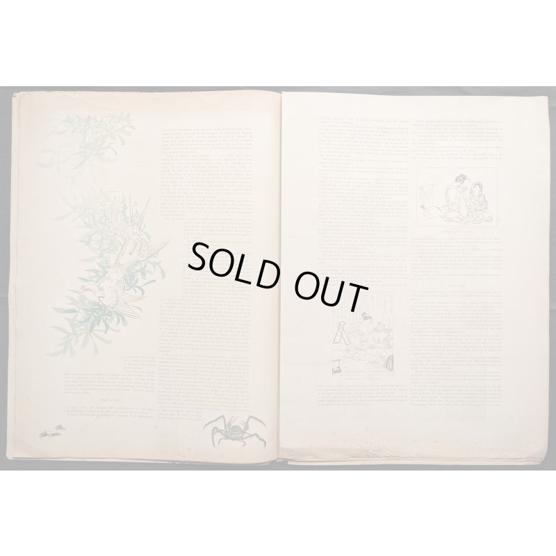 画像6: 「パリ・イリュストレ」明治19年(1886年)No,45.46  日本特集号 ゴッホ模写・花魁の表紙絵