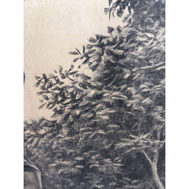 画像8: 明治写実画 「水平帽の子ども(仮題)」 諫山麗吉 鉛筆・水彩 52×41cm