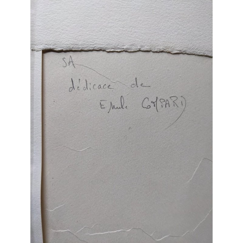 画像13: 長谷川潔ほか挿絵・大型本「フランスの植民地」　1931 パリ